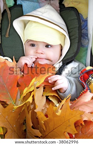 Pretty baby in baby carriage with fall leafs.