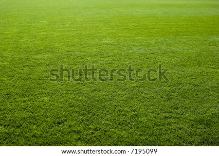 Football+field+dimensions+ football field dimensions. Football+field+dimensions+