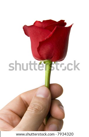 لا تيأس Stock-photo-male-hand-holding-a-red-rose-isolated-on-white-7934320