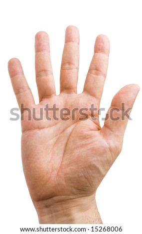 stock-photo-male-hand-showing-five-fingers-and-the-palm-isolated-on-white-15268006.jpg