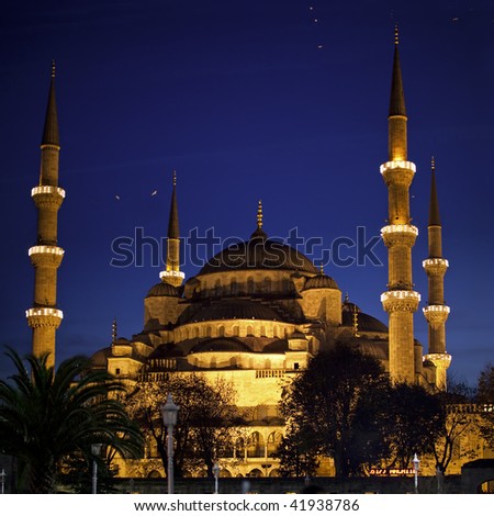 The Blue Mosque at Night in Istanbul Turkey
