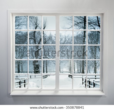 Residential window with snow and trees