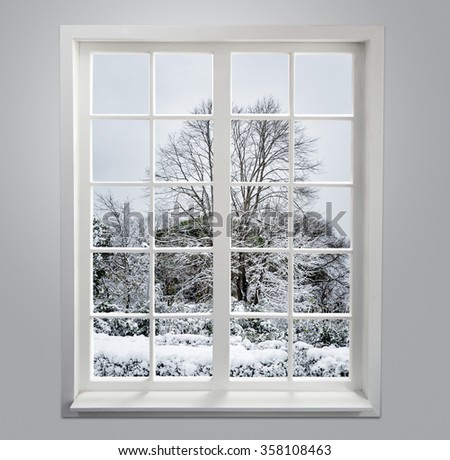 Residential window with snow and trees