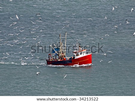 stock photo : Flock of seagulls surrounding fishing trawler boat in ocean. stock photo : Flock of seagulls surrounding fishing trawler boat in ocean.