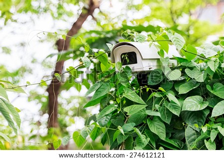 Spy Camera in the Shrub, CCTV Camera, Closeup
