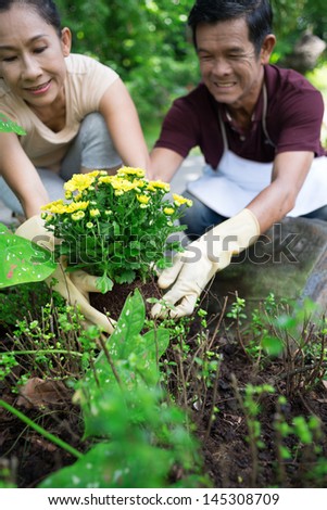 Vertical image of a senior couple cultivating plants in their garden