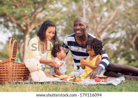 Image of a big family picnicking together in the park