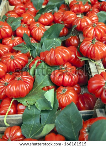 Eco-friendly products on the counter of the city market. ripe tomatoes