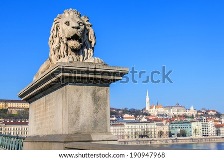 Budapest, Hungary, March 22, 2014 . Sculpture in the urban environment . Figure of a lion at the entrance to Chain Bridge