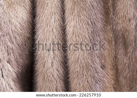 Texture of fur of a mink of color pastel