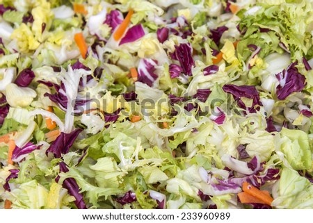 Mix fromMix from lettuce leaves of various grades lettuce leaves of various grades
