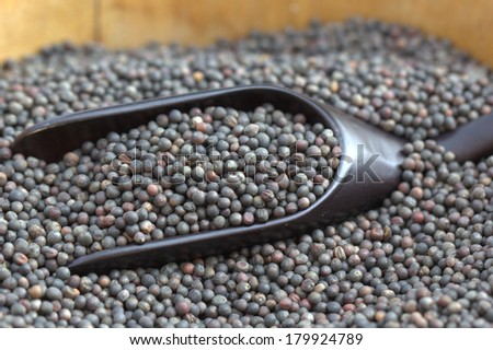 Vegetable seed,Chinese Kale seeds