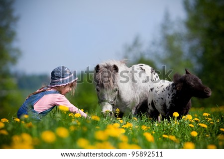 Child and small horses in field