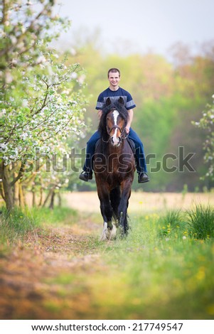 Young man riding a horse around the apple orchard in spring