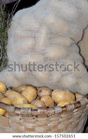 Pickup white potato baskets and bags in a farm