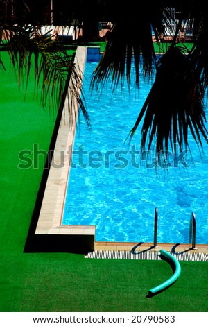 Swimming pool with palm leaves in the foreground