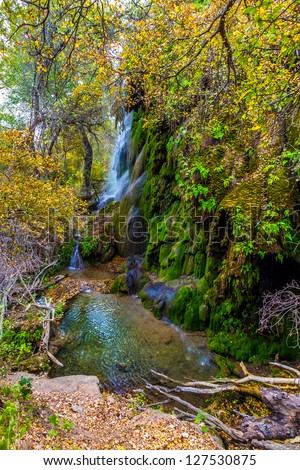 Bursting Colors of Fall Foliage Surrounding the Picturesque Gorman Falls Covered with Deep Rich Green Moss, Deep in Woods of the Famous Texas Hill Country.