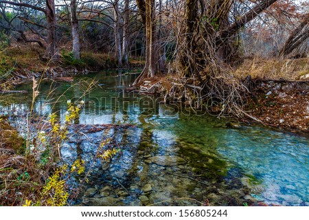 Beautiful Forested Green Crystal Clear Texas Hill Country Stream in Early Winter.