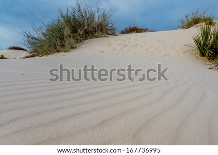 An Interesting View of a White Sand Dune with Wind Ripples at White Sands Monument National Park in New Mexico.