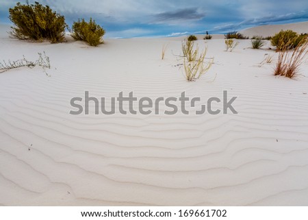 Wind Ripples in the Beautiful White Sands of One of the Dunes of White Sands Monument National Park in New Mexico.
