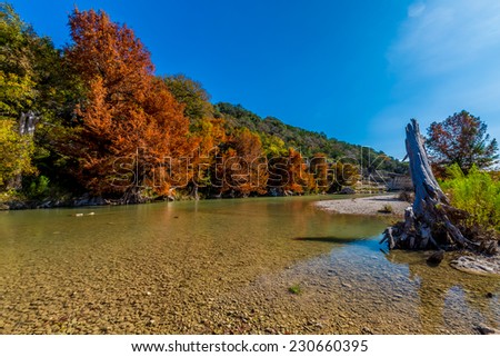 Fall Foliage at Guadalupe State Park, Texas, on the Clear Guadalupe River.