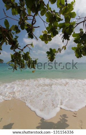 Soft wave on the beige sand under the tree