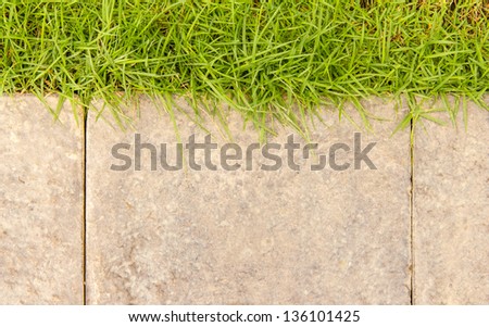 Garden path with grass growing up on top background texture