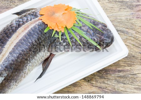 Striped snakehead fish pack from supermarket