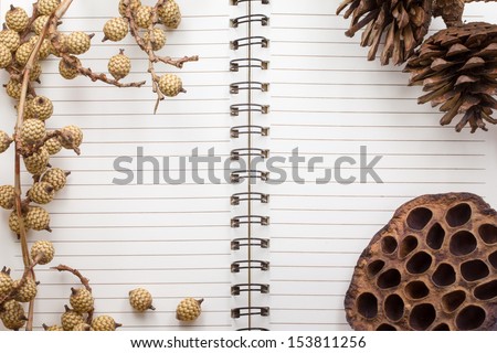 Dry flowers frame on white notebook paper background with copy space