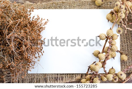 Dry flowers frame on white paper background with copy space