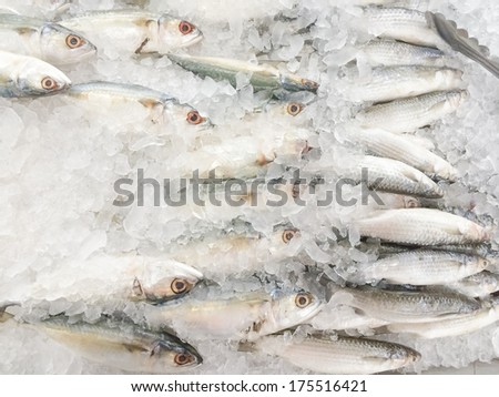 Fresh fish on ice in the market, Thailand