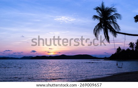 Silhouetted of coconut tree during sunrise with hanging seat