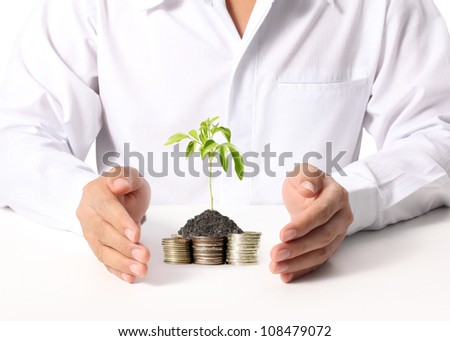 Hands Protect Your and plant  on white background