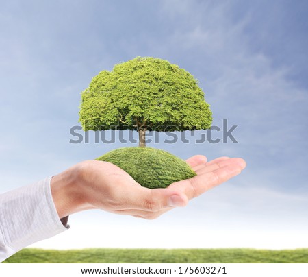 holding green tree in the hand