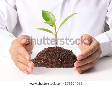 Businessman holding plant sprouting