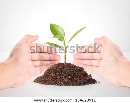 hand holding a plant sprouting
