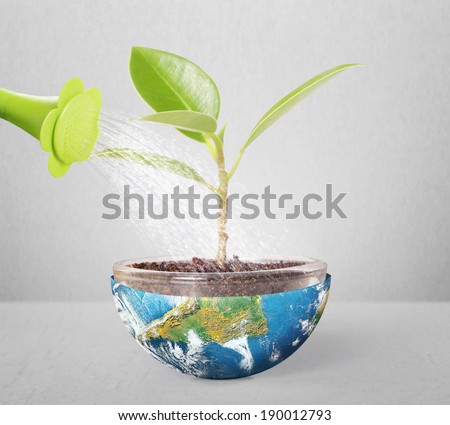 protect the environment concept earth with  tree ,Some components of this image are provided courtesy of NASA