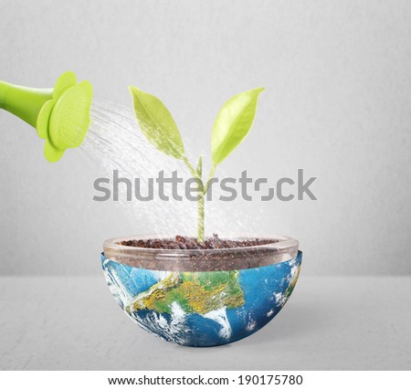 protect the environment concept earth with  tree ,Some components of this image are provided courtesy of NASA