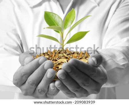 Tree growing from money in hands