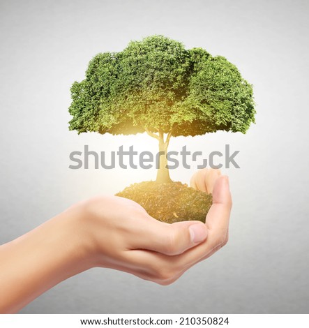 Businessman holding tree sprouting from a handful of coins