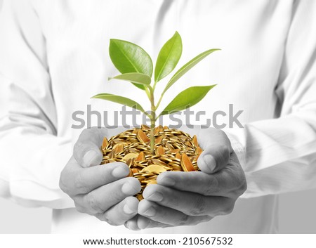 Tree growing from money in hands