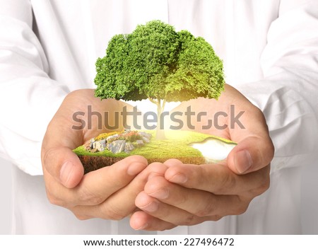 Businessman holding big tree sprouting