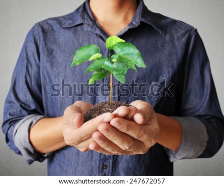 Close up man hands holding plant