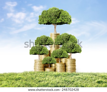Concept of money tree growing from money