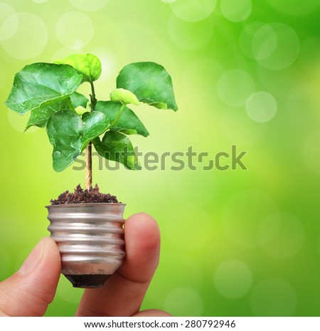 Hand holding light bulb with young green plant, green energy concept