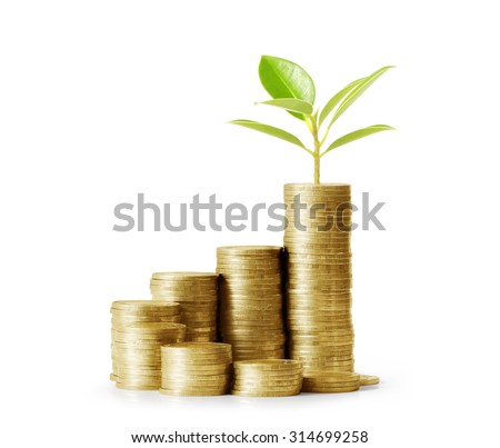 Non stock market investment options