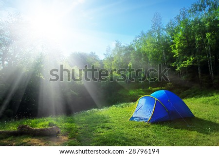 Tourist tent in the green fores, blue sky and sun
