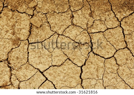 field of baked earth after a long drought.