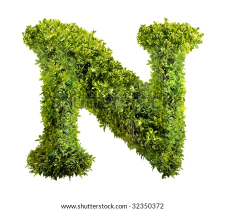 stock-photo-one-letter-of-bush-alphabet-