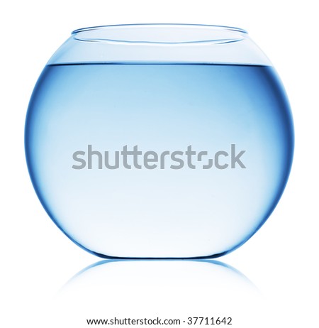 view of fish bowl isolated clipart fish bowl. view of fish bowl isolated